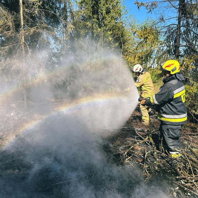 Pożar lasu w Bukowinie Tatrzańskiej